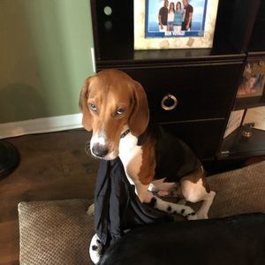 Meet your Posher, Jimmy